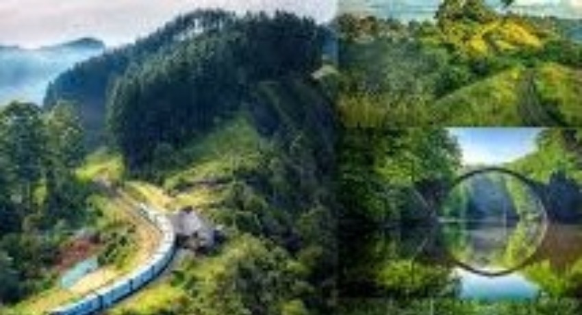 行业前沿交流区 - 海角社区 - 一手行业资讯与前沿趋势讨论社区